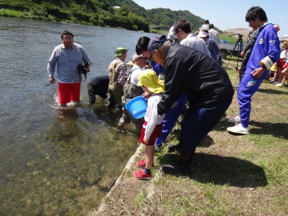 佐波川　稚魚放流